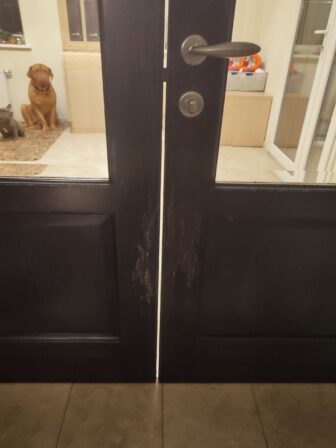 Собака испортила двери